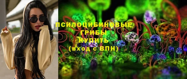 сатива Алексин