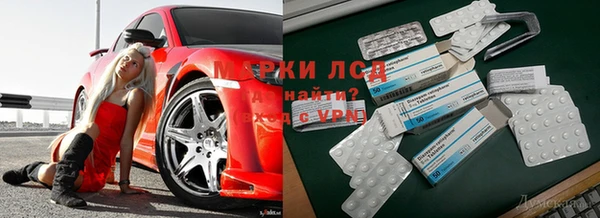 сатива Алексин