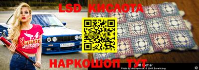 СК Кандалакша