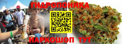 СК Кандалакша