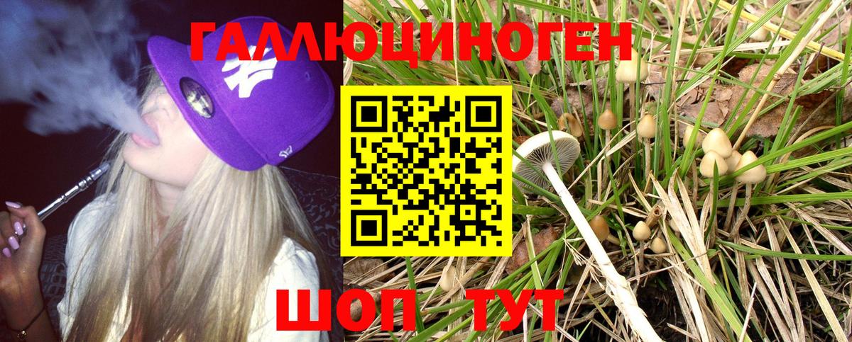 Галлюциногенные грибы GOLDEN TEACHER Дедовск