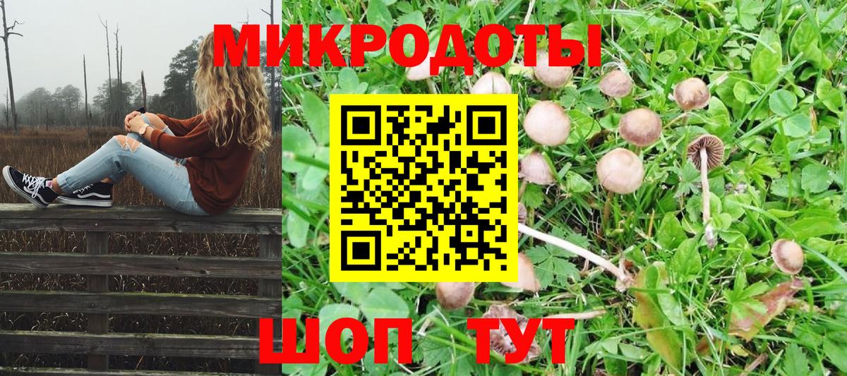 Галлюциногенные грибы Psilocybine cubensis  Псилоцибиновые грибы Magic Shrooms  Вход с VPN  Дедовск 